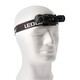 LED FICKLAMPA LEDWISE LEGEND COLD
